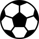 郎俭旋